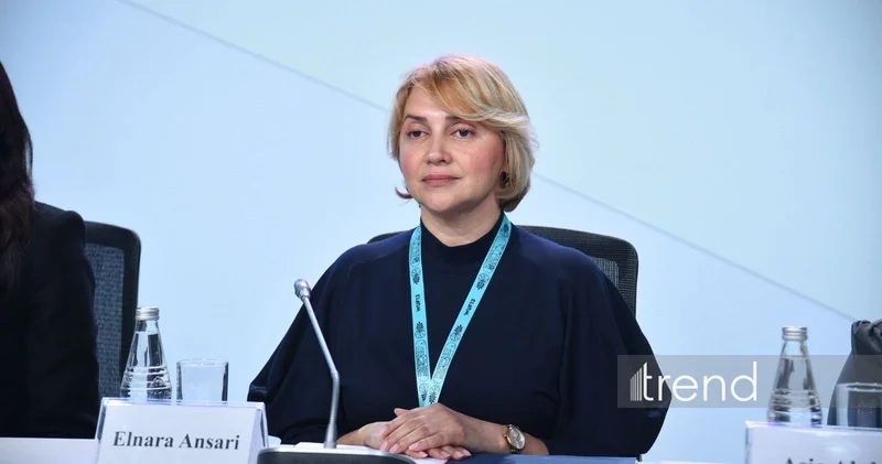 Доступная городская среда основа независимой жизни людей с инвалидностью директор Центра DOST