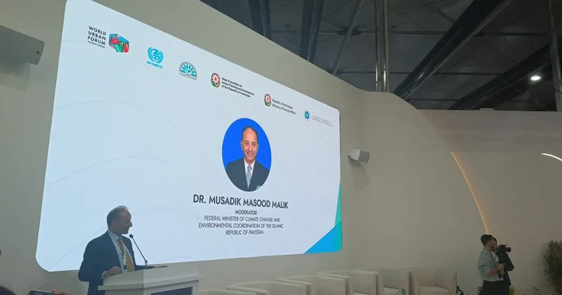 Musadik Malik: Günəş, külək və suyun inteqrasiyası enerji inqilabı yarada bilər