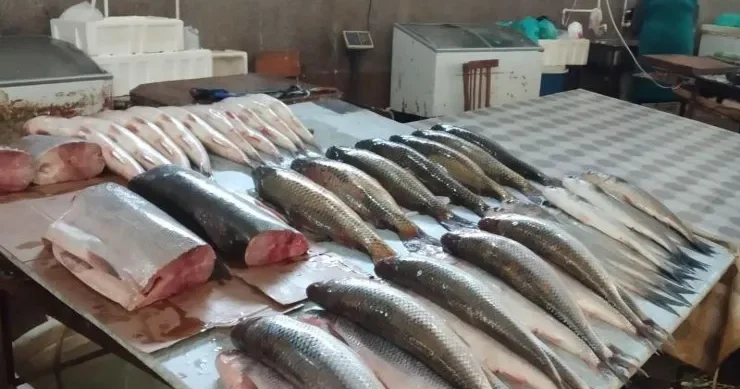Supermarketlərdə niyə tez tez başsız balıq satılır? Heç kimin bilmədiyi SƏBƏBLƏR