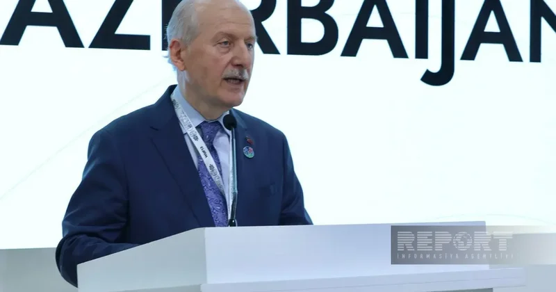 Замминистра: Турция планирует достичь углеродной нейтральности к 2053 году