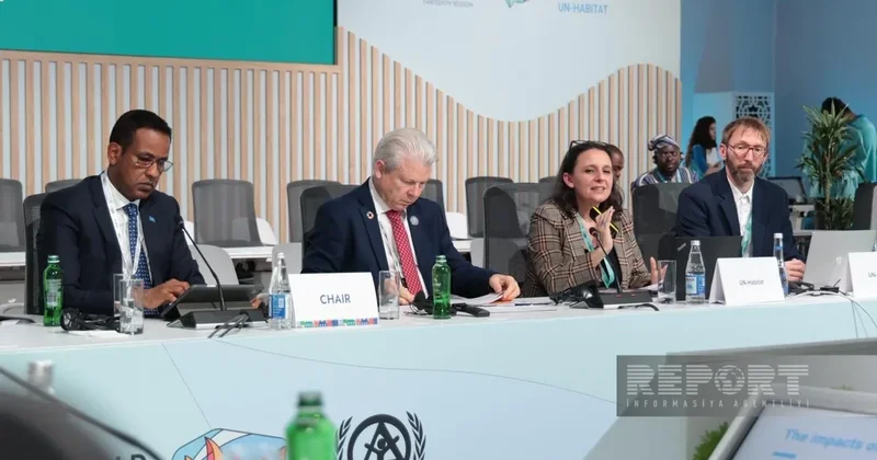 Омбретта Темпра: Зеленые зоны повышают качество жизни