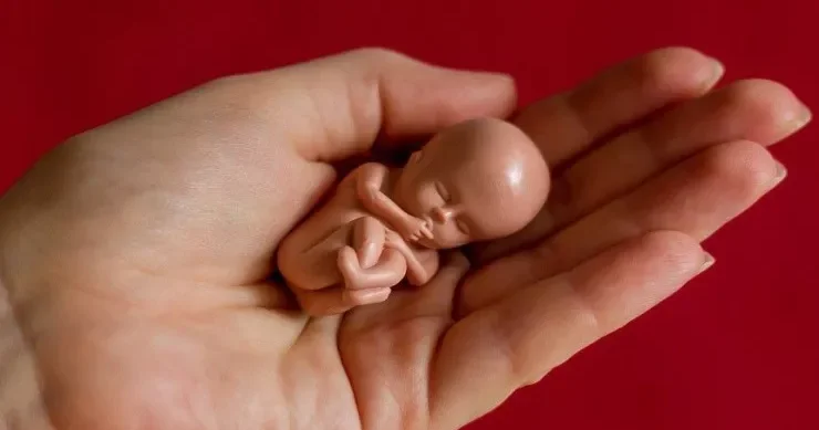 Keçən il ölkədə 95 min 117 abort qeydə alınıb