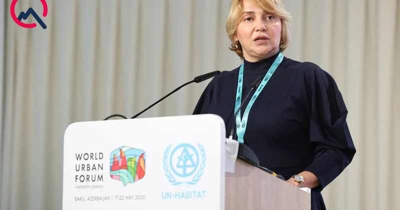 “Azərbaycan regionda bu cür sistemi tətbiq edən ilk ölkələrdən biridir”