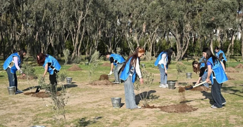 Sumqayıtda parkda ağacların qeydiyyatı aparılıb