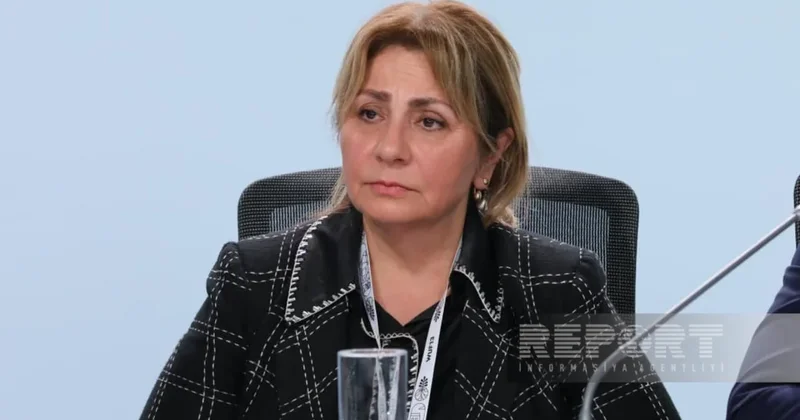 Гюльшан Рзаева: Азербайджанская модель реконструкции может стать примером для постконфликтных стран
