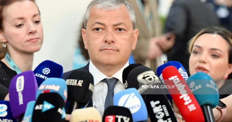 Azad edilmiş ərazilərə xarici investorların nə zamandan investisiya yatıra biləcəyi məlum olub