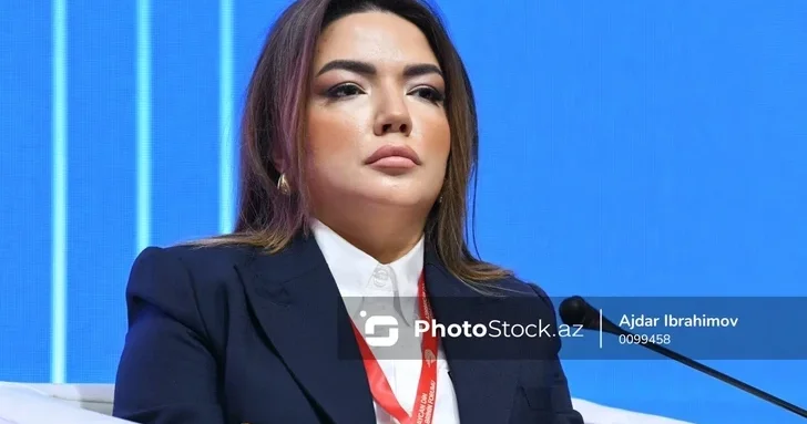 Айгюн Алиева: В Азербайджане реализуется политика по созданию доступной городской среды