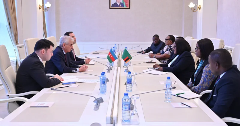Zambiya Milli Assambleyasının nümayəndə heyəti Milli Məclisdə olub