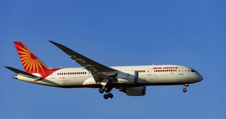 Паническая атака пилота Air India: рейс в Копенгаген задержан