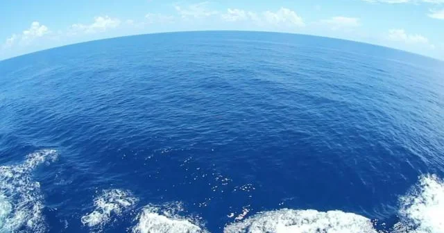 Okeanların turşulaşma səviyyəsi planetar hədləri keçib...