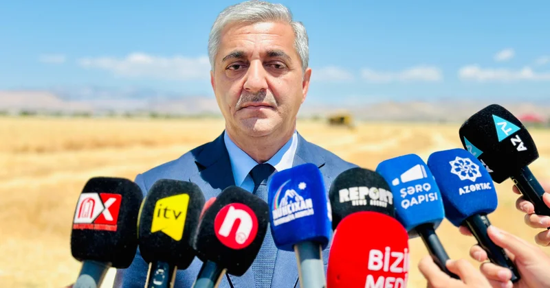 Naxçıvanda yazlıq əkin sahələri ötən ilin müvafiq dövrü ilə müqayisədə 9,6 faiz artıb
