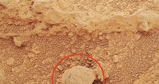 Mars görüntülərində sirli “göbələk” aşkarlanıb...