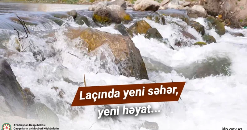 Laçında yeni səhər, yeni həyat... VİDEO