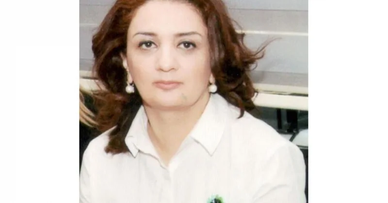 Dövlət qulluğunun strateji modernizasiyası: Azərbaycan modeli