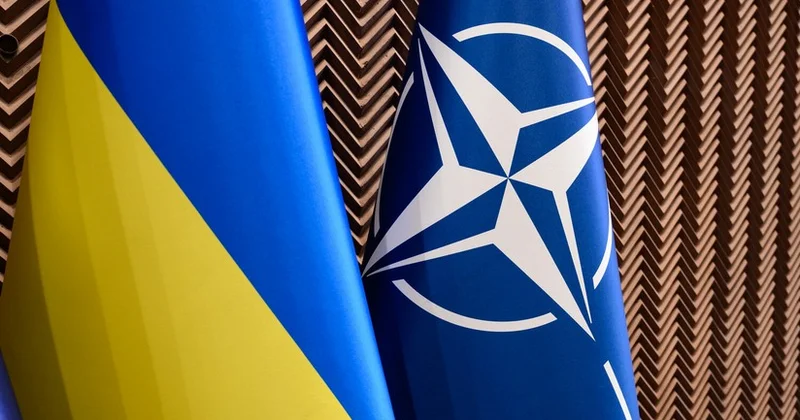 Встреча Украина НАТО на полях саммита в Гааге состоится на уровне глав МИД