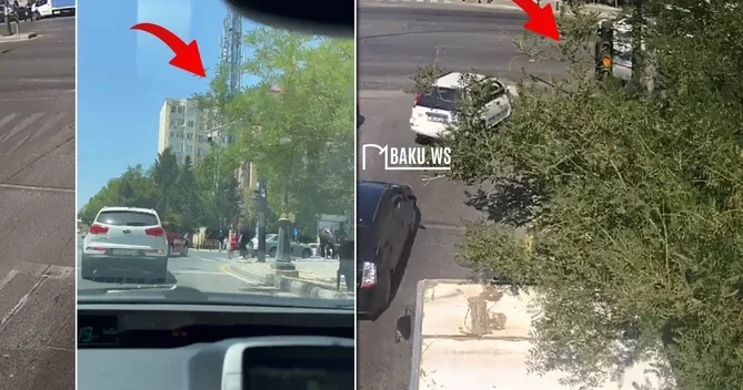 Bakıda ağac sürücünü işə saldı 100 manat CƏRİMƏLƏNDİ