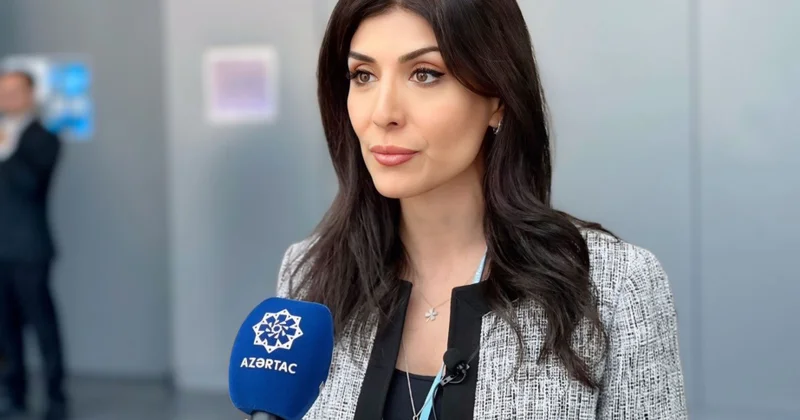 Nigar Arpadarai: Bakıdan Belemə Yol Xəritəsi üzrə 46 tərəfdaş bizə qoşulub
