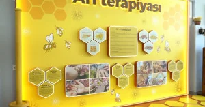 Lənkəranda Arıçılıq Muzeyinin açılışı olub