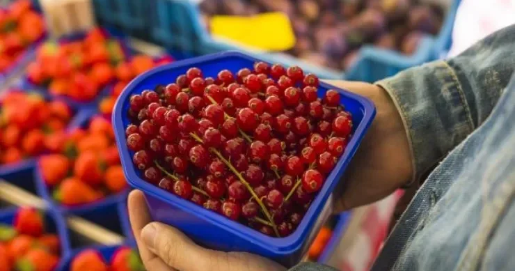 Bazarda yuyulmamış giləmeyvə yeməyin Görünməyən təhlükə