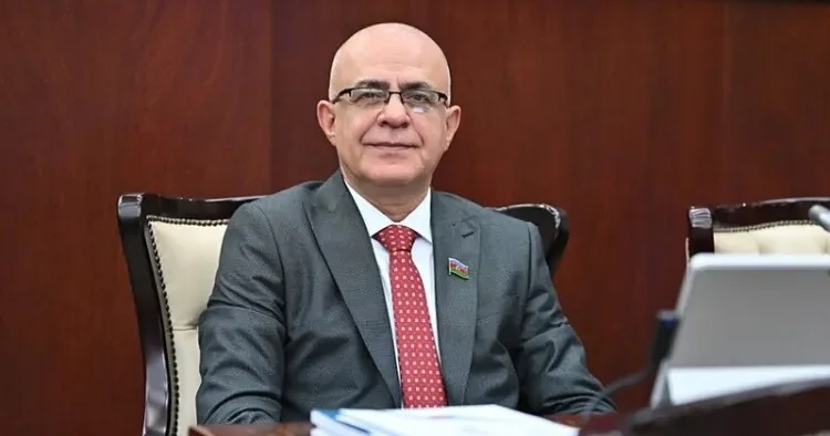 Peşəkar jurnalistika yalnız operativlik və xəbər bolluğu ilə qiymətləndirilməməlidir Elçin Mirzəbəyli