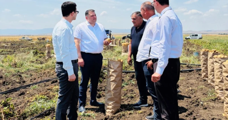Lənkəran Astara bölgəsində çiyələk və kartof təsərrüfatlarının fitosanitar vəziyyəti qiymətləndirilib