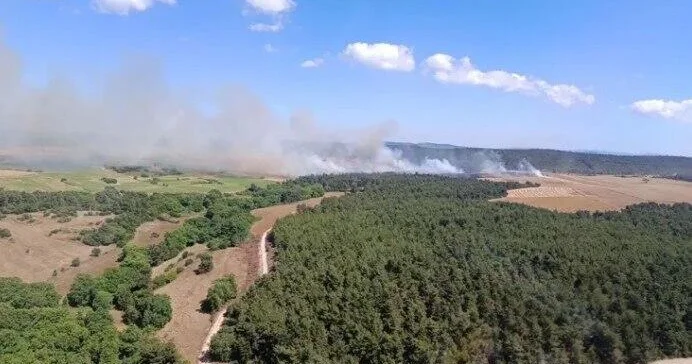 В Турции начался лесной пожар ВИДЕО
