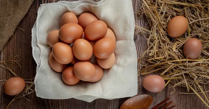 Yumurta ucuzlaşıb Səbəb nədir?