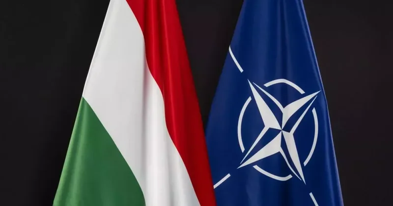 Венгрия возобновляет полноценное военное сотрудничество с НАТО