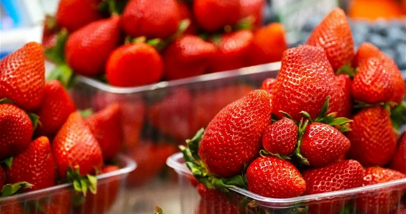 Минсельхоз Грузии опроверг сообщения о реэкспорте армянской продукции в Россию
