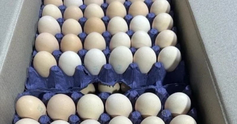 Yumurtanın qiyməti kəskin ucuzlaşdı 1 qəpik oldu