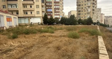 Yasamalda torpaq niyə bahadır? 700, 800 min...