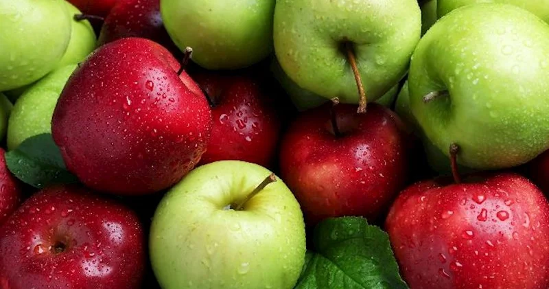 Marketlərdə 1,90 manata təklif olunan alma, Rusiyaya 1,35 manata satılıb