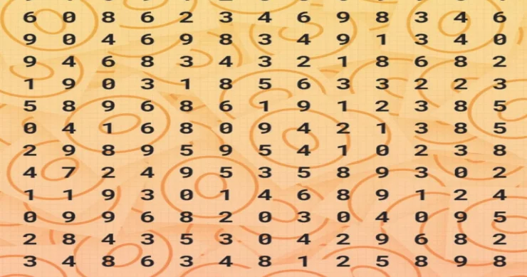 971 rəqəmini 11 saniyədə tapa bilərsiniz? Çox çətin tapmaca