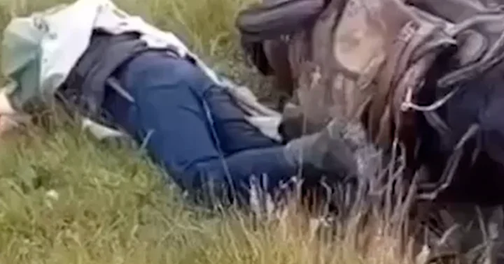 Rusiyada ildırım çobanı və bütün sürünü öldürüb...