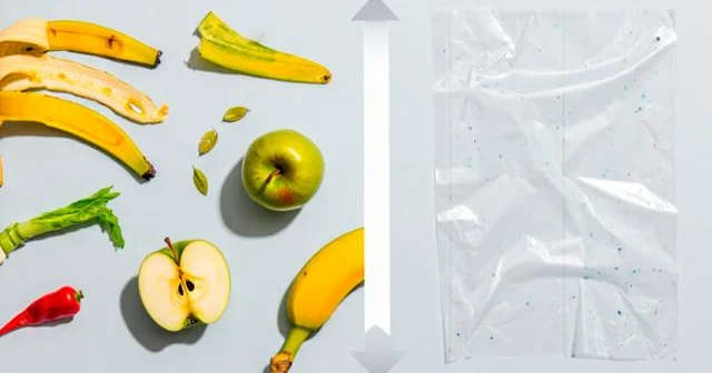 ABŞ alimləri qida tullantılarından bioplastik hazırlamağı öyrəniblər