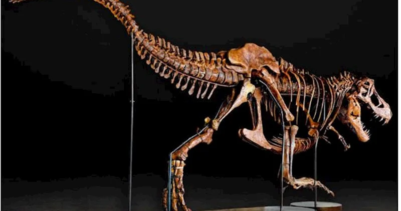 Milyarderlər arasında yeni dəb Dinozavr skeletləri…