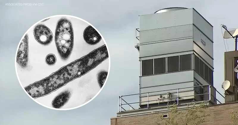 Nyu Yorkda qorxulu virusdan ikinci ölüm 50 dən çox şəxs xəstəxanadadır