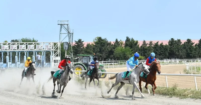 Binə Atçılıq Mərkəzində cıdır yarışları keçirilib FOTO