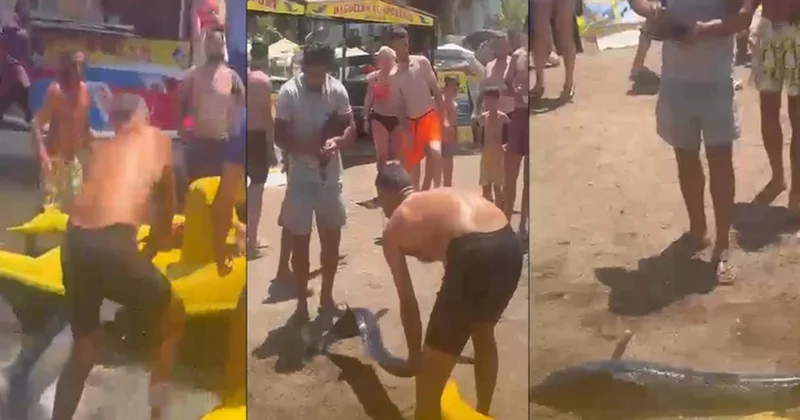 Qılıncbalığını quyruğundan tutub sahilə çıxardı Cərimələndi+Video