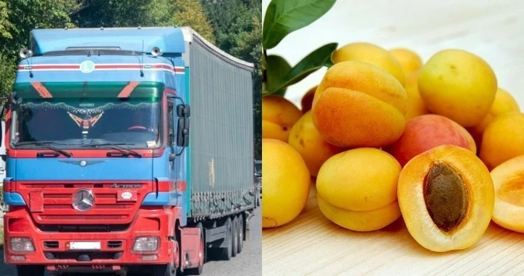 Ermənistandan İspaniyaya göndərilən əriklər yolda xarab oldu