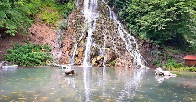 Oğuzda Xalxal şəlaləsinə giriş niyə pulludur?