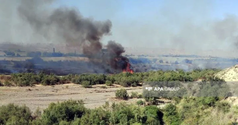 Şəmkirdə açıq ərazidə yanğın başladı FOTO