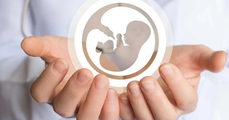 “Əhalinin sağlamlığı üçün reproduktiv maarifləndirmə vacibdir” TƏBİB rəsmisi