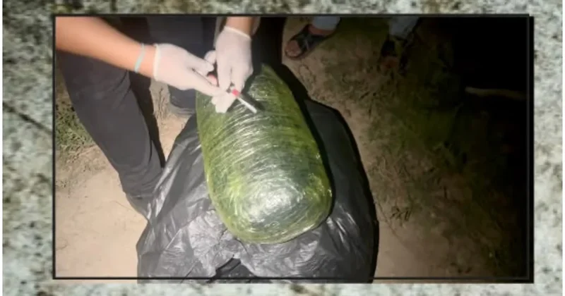 В Сабирабаде изъято 8 кг наркотиков