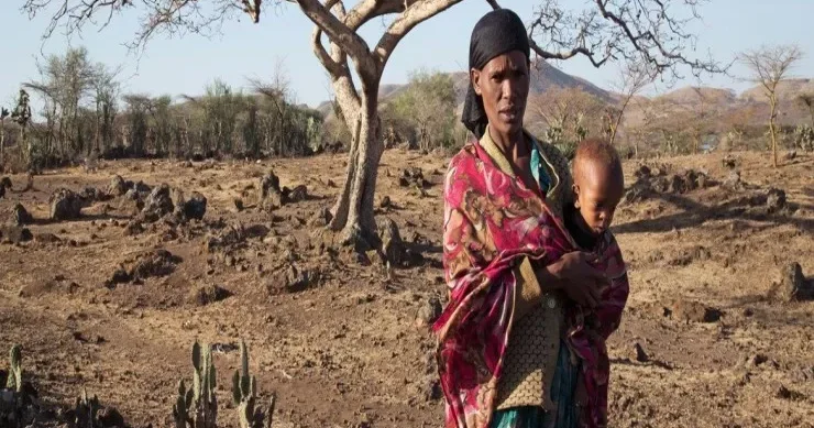 El Nino iqlim fenomeninə görə 50 milyona yaxın insan aclıqla üzləşə bilər