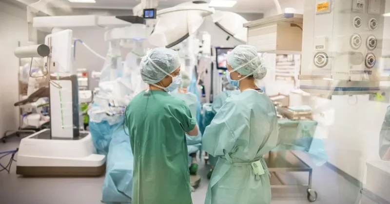 Almaniyada xaricdə əldə olunan peşə ixtisaslarının tanınması artıb