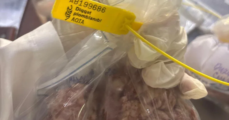 Bakıda kabab evində farşdan at DNT si çıxdı Fotolar