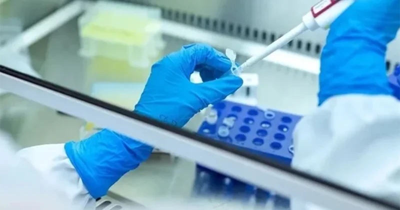 Bu peşələrdə çalışanların xərçəngdən ölüm riski daha yüksəkdir