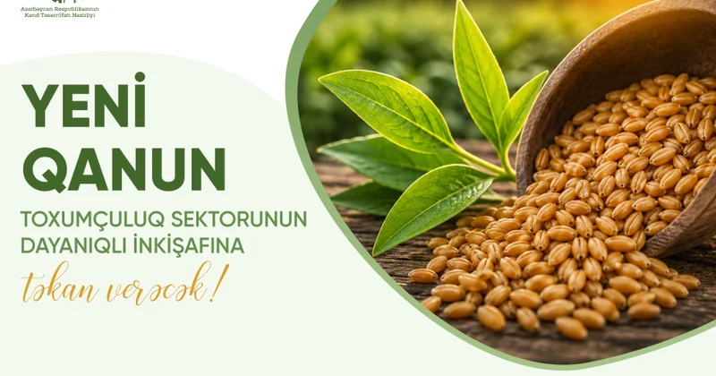 Yeni Qanun toxumçuluğun inkişafı üçün hüquqi bazanı gücləndirir