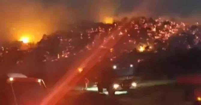 Meşə yanğını 6 saatdan sonra söndürüldü
